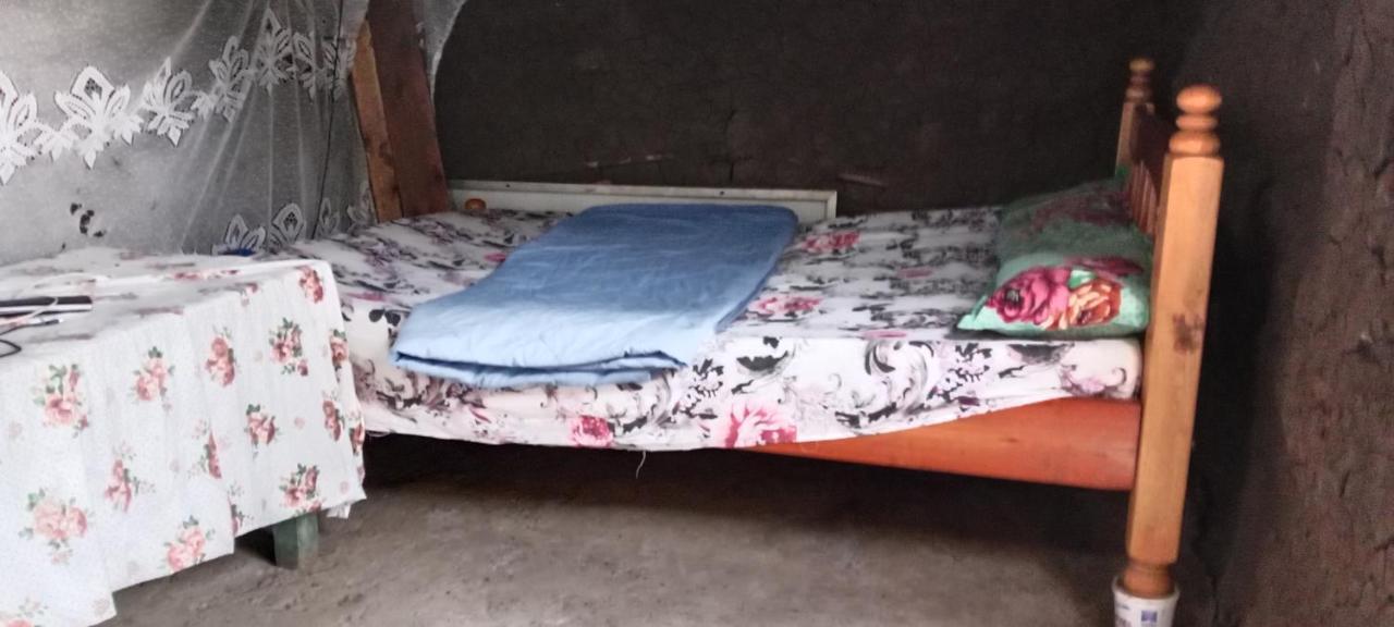 Maasai Homestay Camping Sekenani Exterior foto